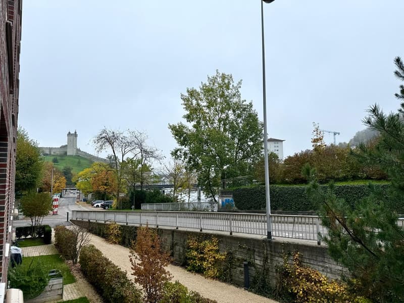 Vollmöblierte 3.5-Zimmer-Wohnung an Toplage in Luzern (9)