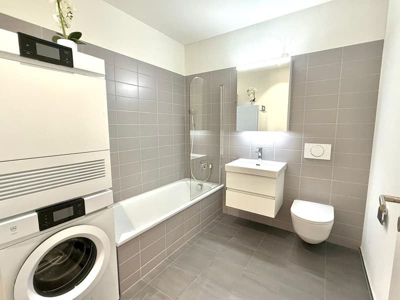 Vollmöblierte 3.5-Zimmer-Wohnung an Toplage in Luzern (8)