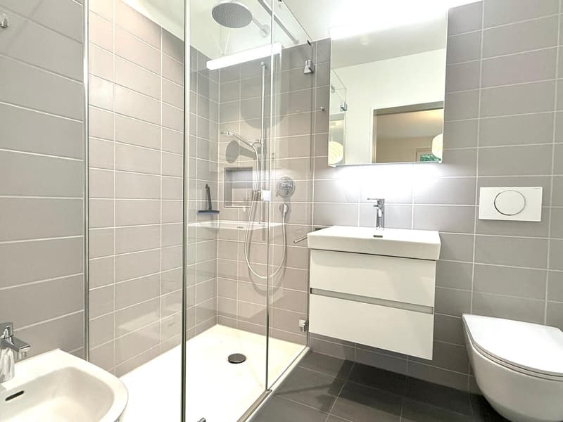 Vollmöblierte 3.5-Zimmer-Wohnung an Toplage in Luzern (7)