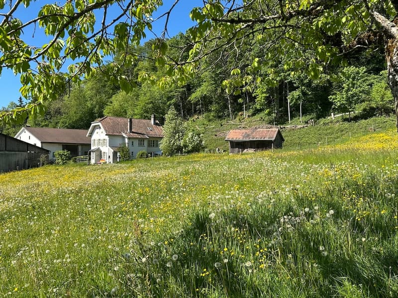 Charmantes 6-Zimmer-Einfamilienhaus in Roche-d'Or – Historisches Zollhaus trifft moderne Renovation (2)