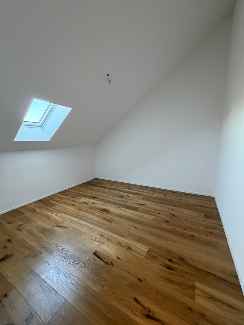 Neubau 2.5 Zimmer Wohnung; Dachhöhe 3.5 Meter (7)