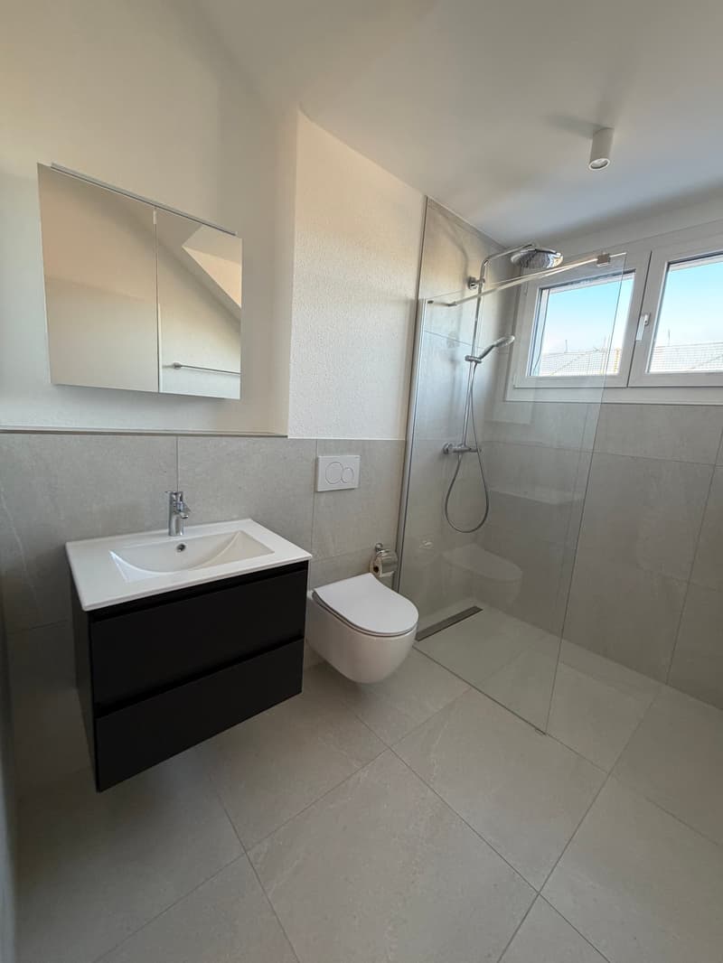 Neubau 2.5 Zimmer Wohnung; Dachhöhe 3.5 Meter (5)