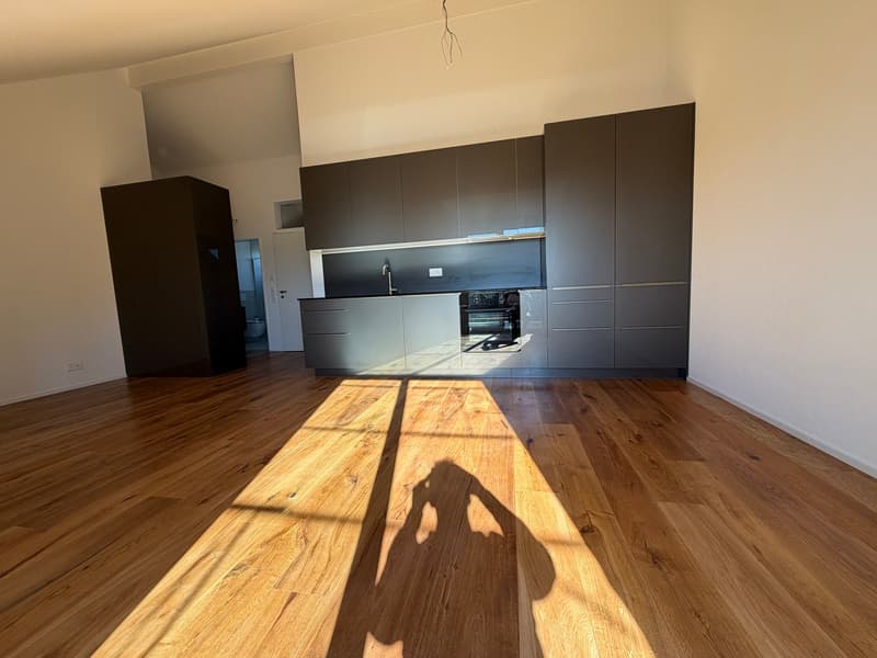 Neubau 2.5 Zimmer Wohnung; Dachhöhe 3.5 Meter (3)