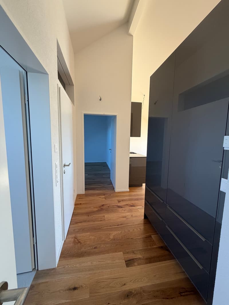 Neubau 2.5 Zimmer Wohnung; Dachhöhe 3.5 Meter (4)
