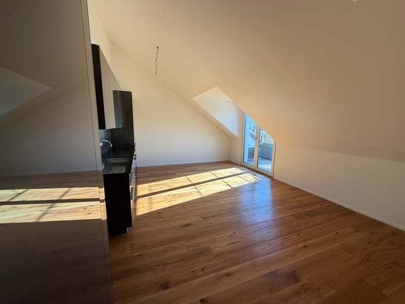 Neubau 3.5 Zimmer Wohnung; Dachhöhe 3.5 Meter (2)