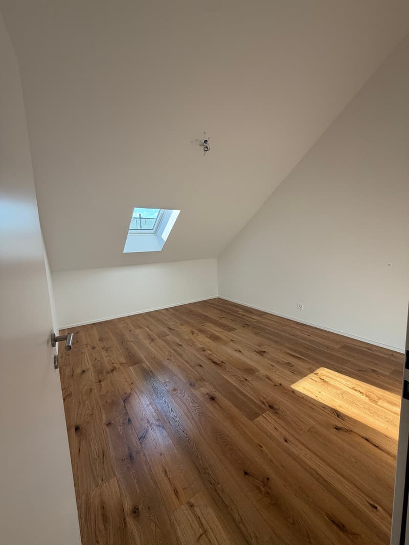 Neubau 3.5 Zimmer Wohnung; Dachhöhe 3.5 Meter (6)