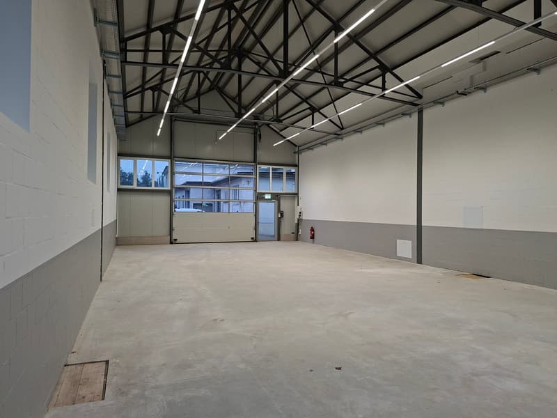 Zu vermieten praktische Gewerbehalle, 9.2 Meter Breite x 20.45 Meter Länge, 188 m3 (3)