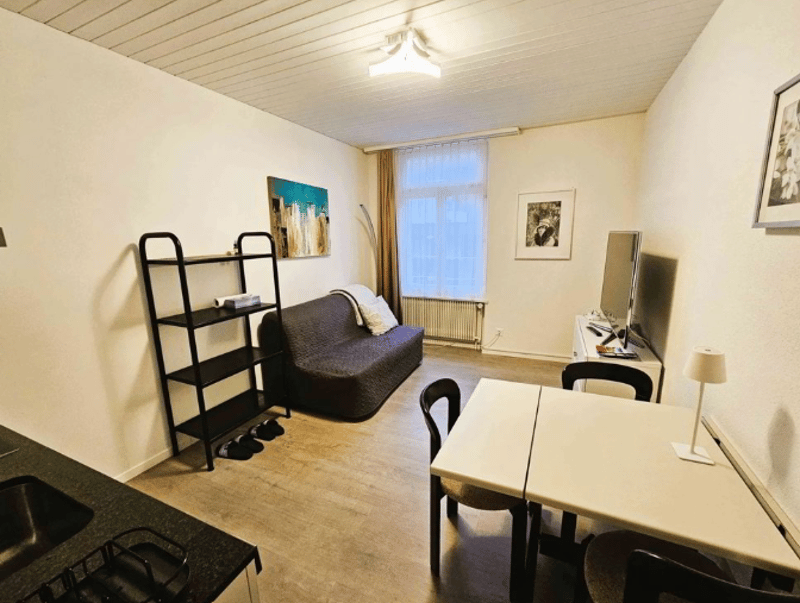 Komplett möblierte 2-Zimmer Wohnung im Herzen von Meringen (8)