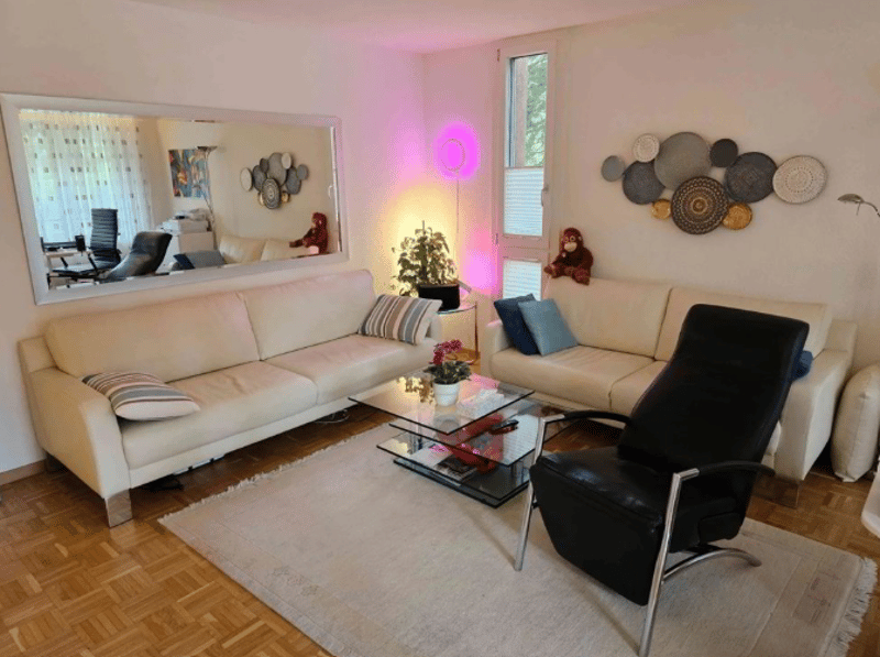 Ruhige luxuriöse möblierte Luzerner Wohnung- alles inkludiert (1)
