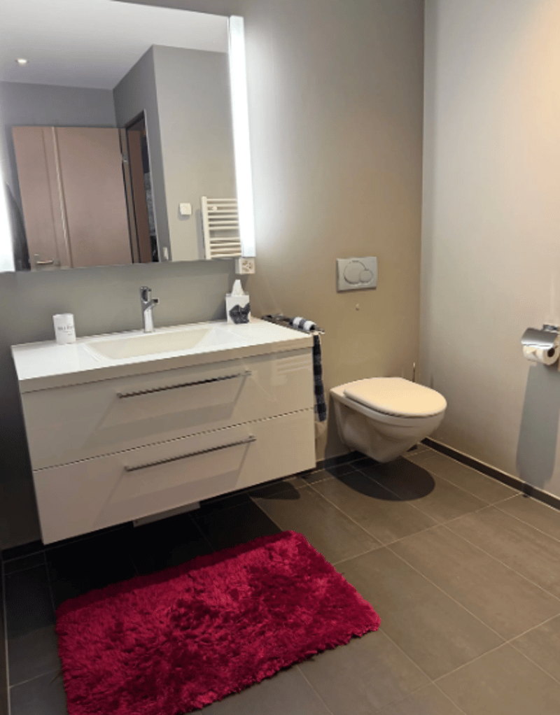 Modern 4.5-room apartment in prime location – furnished or unfurnished (9)