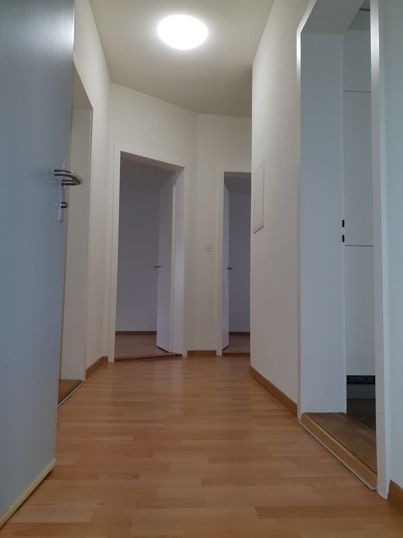 Lichtdurchflutete 3-Zimmerwohnung nähe Zentrum (5)