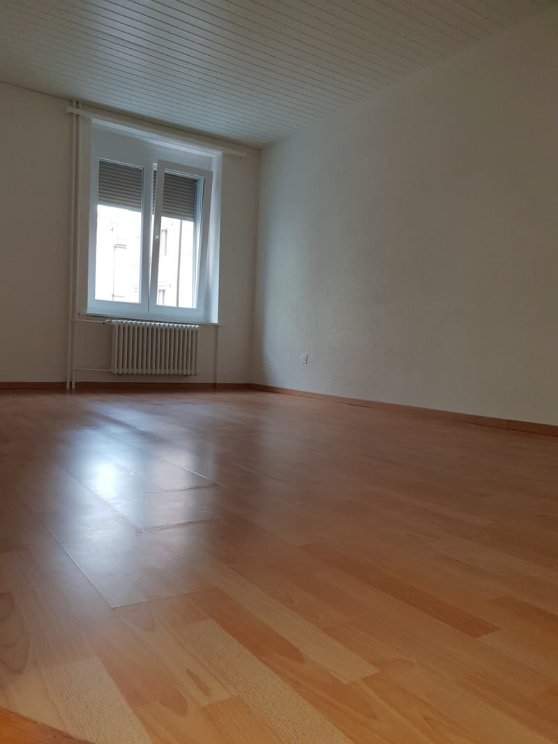 Lichtdurchflutete 3-Zimmerwohnung nähe Zentrum (3)