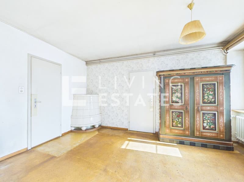 EIN ELDORADO FÜR HANDWERKER (8)