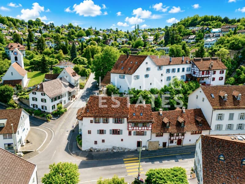 HISTORISCHES FLAIR. DREI EINHEITEN. VIELSEITIG NUTZBAR. (19)