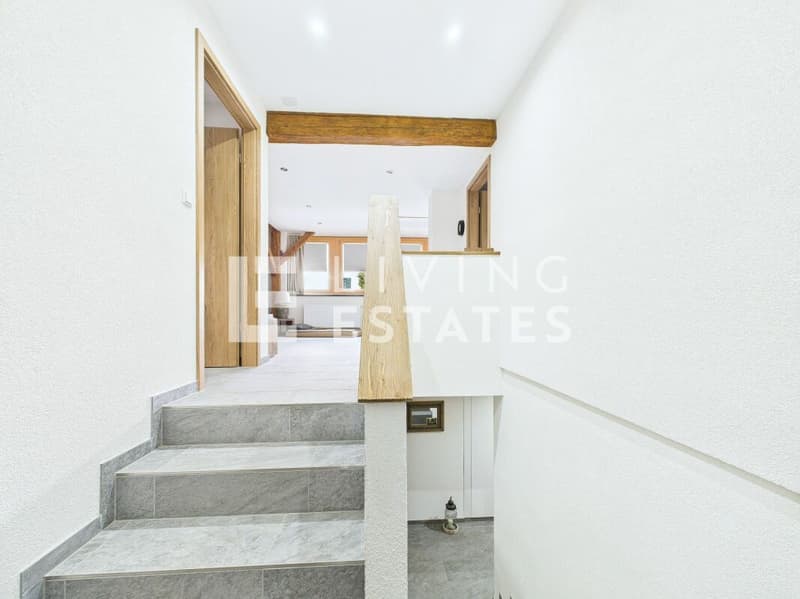 ALPINE CHIC. TOPMODERN. VIEL PLATZ. (2)