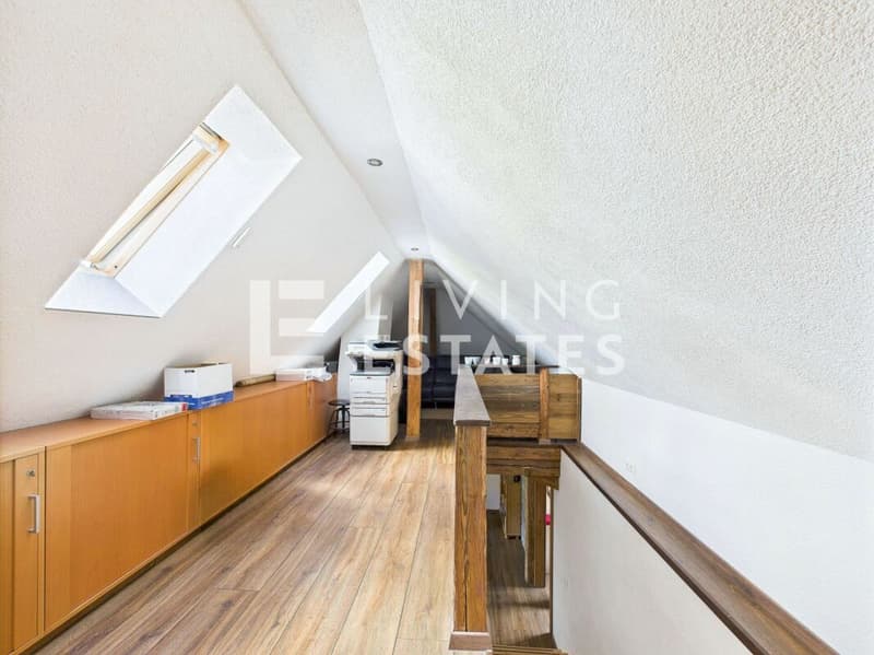 CHARMANTE MAISONETTE MIT VIEL PLATZ UND BESONDEREM WOHNAMBIENTE (12)