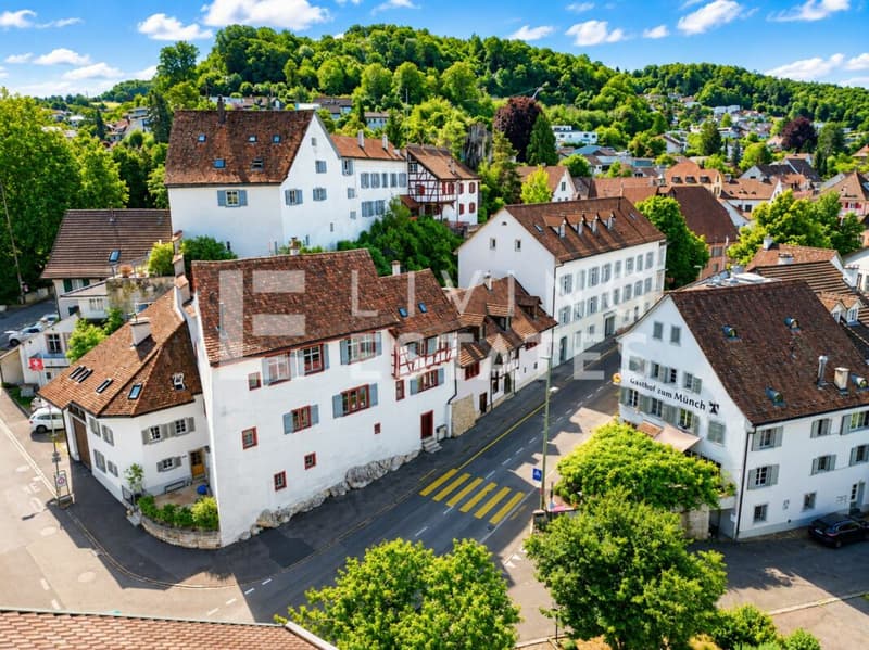 HISTORISCHER CHARME. DREI EINHEITEN. VIEL POTENZIAL. (20)