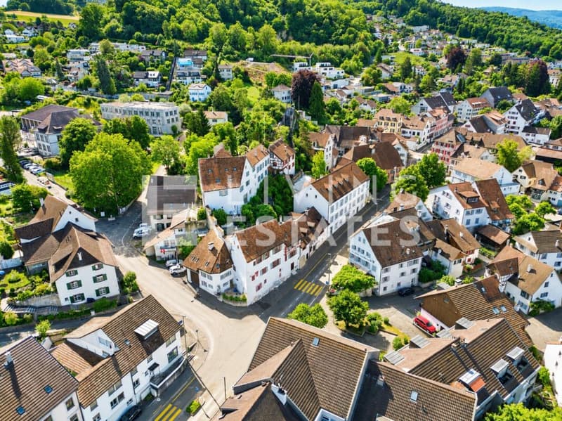 HISTORISCHER CHARME. DREI EINHEITEN. VIEL POTENZIAL. (21)
