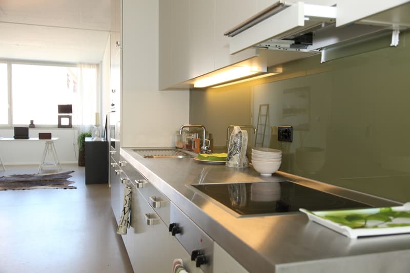 2 Zimmer Loftwohnung zu vermieten! (7)