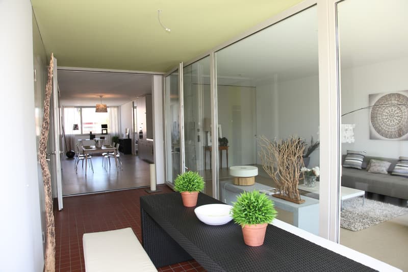 2 Zimmer Loftwohnung zu vermieten! (4)