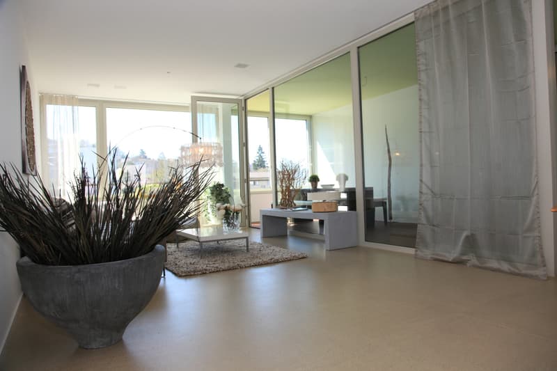 2 Zimmer Loftwohnung zu vermieten! (3)