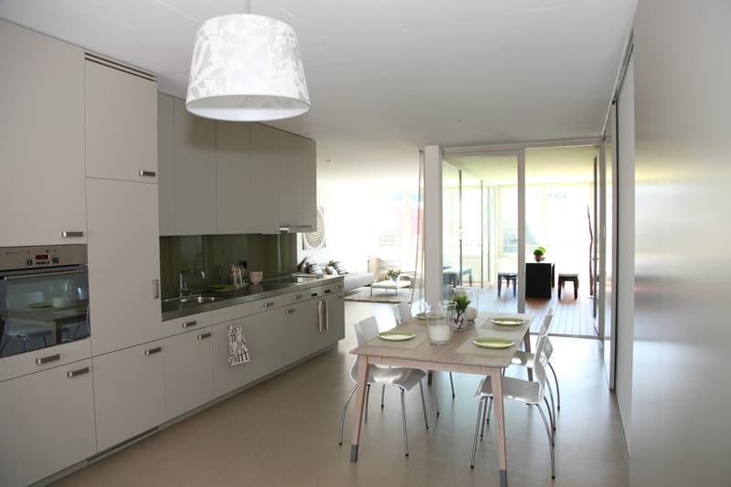 2 Zimmer Loftwohnung zu vermieten! (6)
