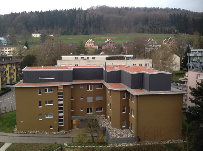 Attraktive 3.5-Zimmerwohnung in Zürich-Schwamendingen (1)