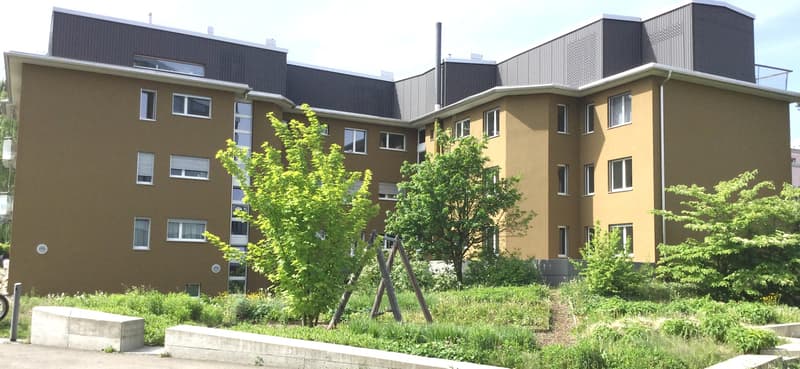 Attraktive 3.5-Zimmerwohnung in Zürich-Schwamendingen (2)