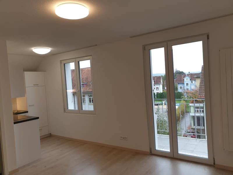 Charming 2-room apartment with balcony (3)
