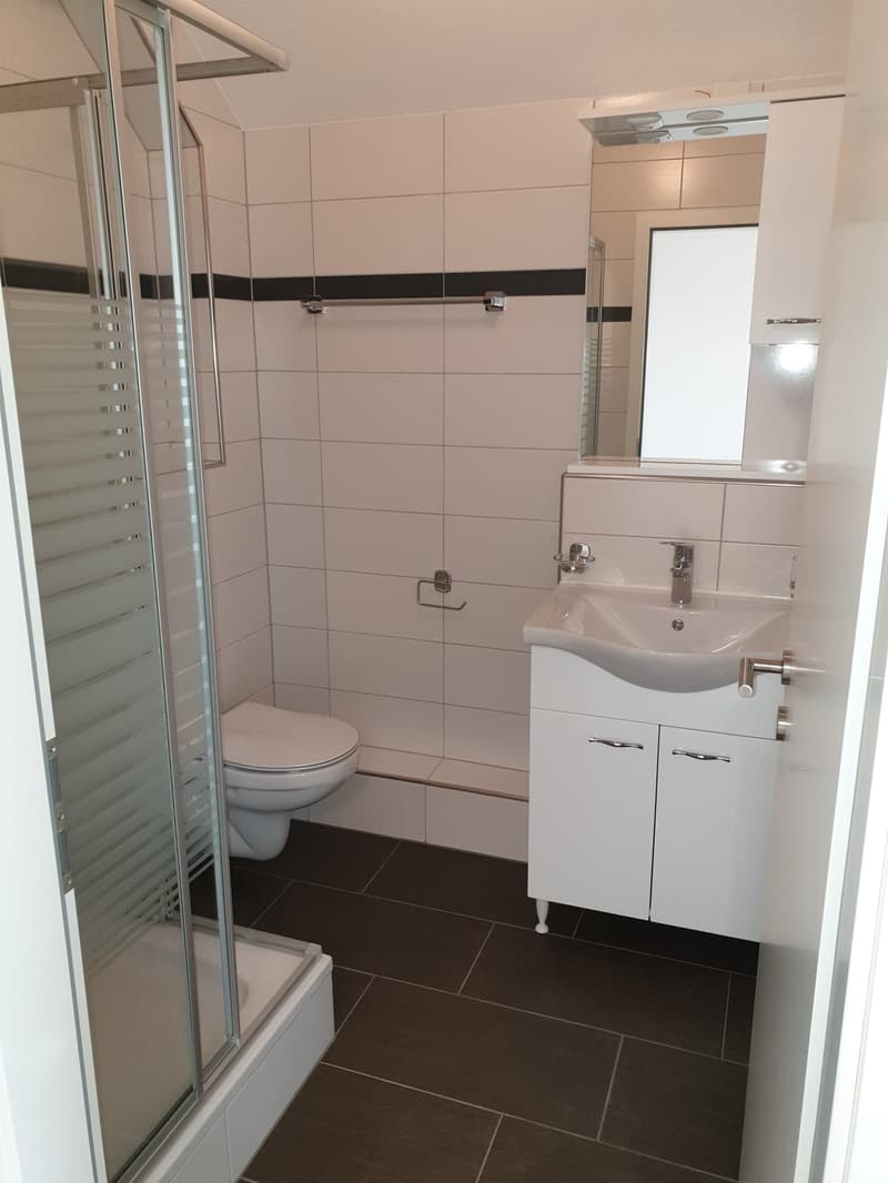 Charming 2-room apartment with balcony (7)
