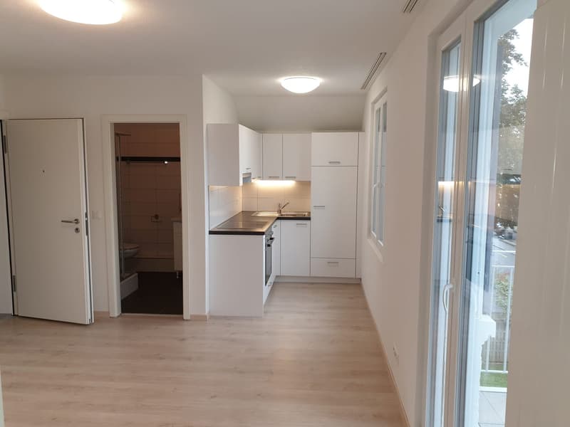 Charming 2-room apartment with balcony (2)