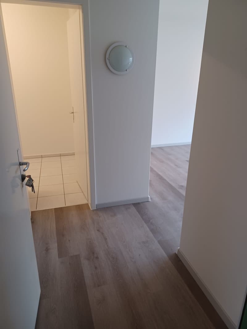 Gemütliche 1-Zimmer-Wohnung mit Balkon in Grenchen (5)