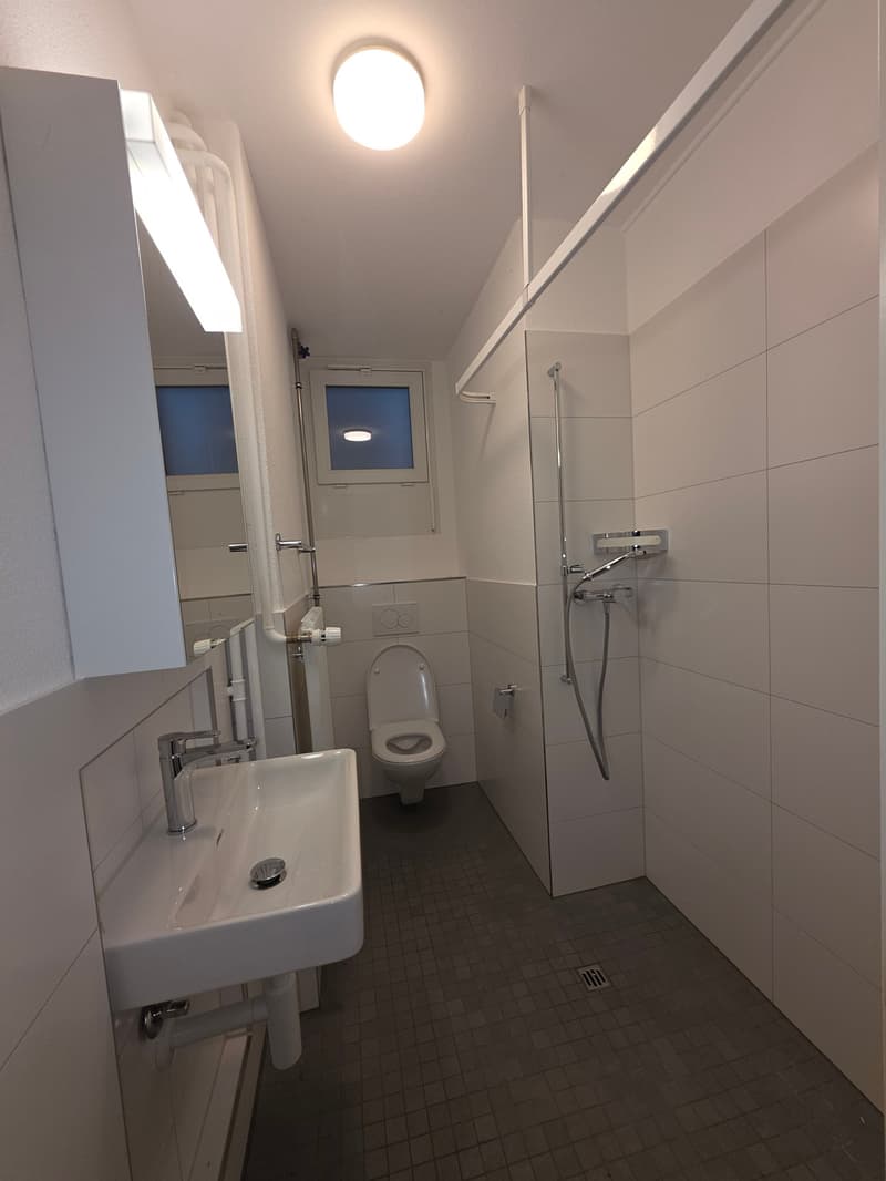 Charmante 2-Zimmer-Altbauwohnung an der Alpenstrasse in Grenchen (4)