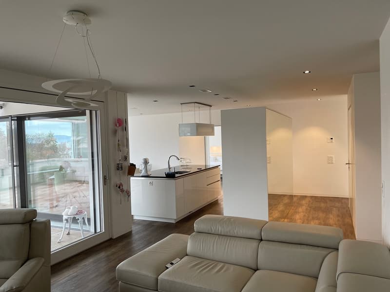 3 1/2 Maisonette Attikawohnung, grosse Sonnenterrassen mit Keller, 2 TG-Plätzen (10)