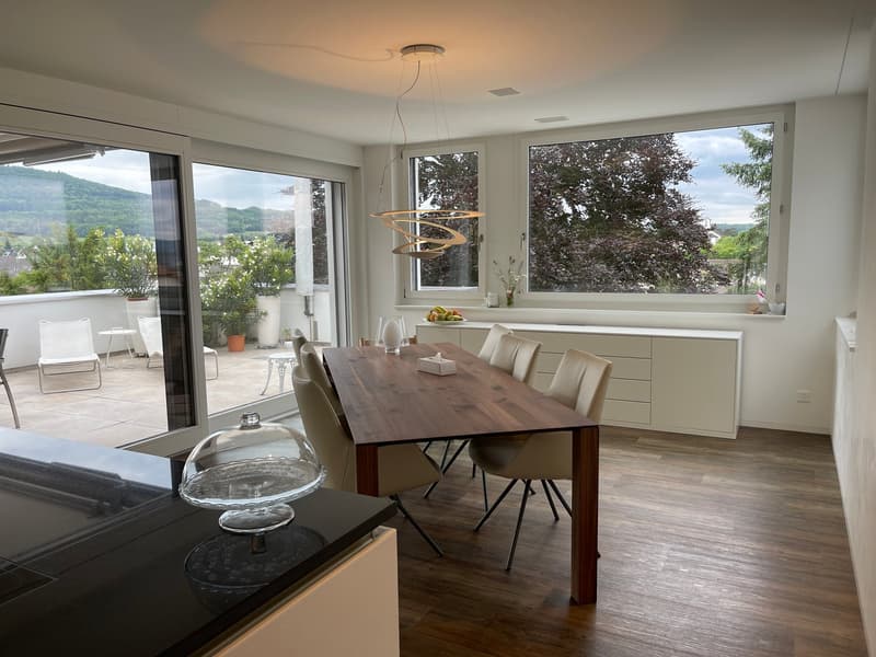 3 1/2 Maisonette Attikawohnung, grosse Sonnenterrassen mit Keller, 2 TG-Plätzen (12)