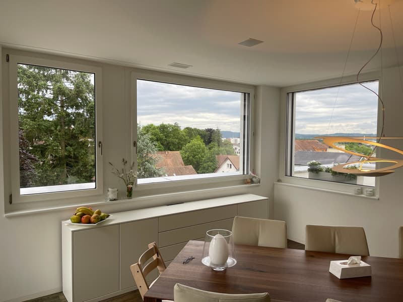 3 1/2 Maisonette Attikawohnung, grosse Sonnenterrassen mit Keller, 2 TG-Plätzen (7)