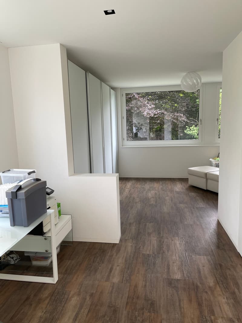 3 1/2 Maisonette Attikawohnung, grosse Sonnenterrassen mit Keller, 2 TG-Plätzen (23)