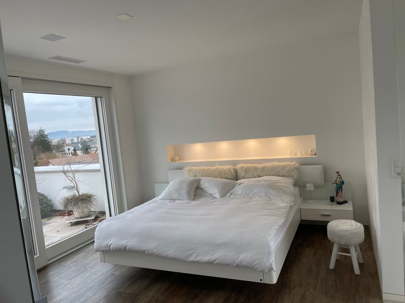3 1/2 Maisonette Attikawohnung, grosse Sonnenterrassen mit Keller, 2 TG-Plätzen (24)