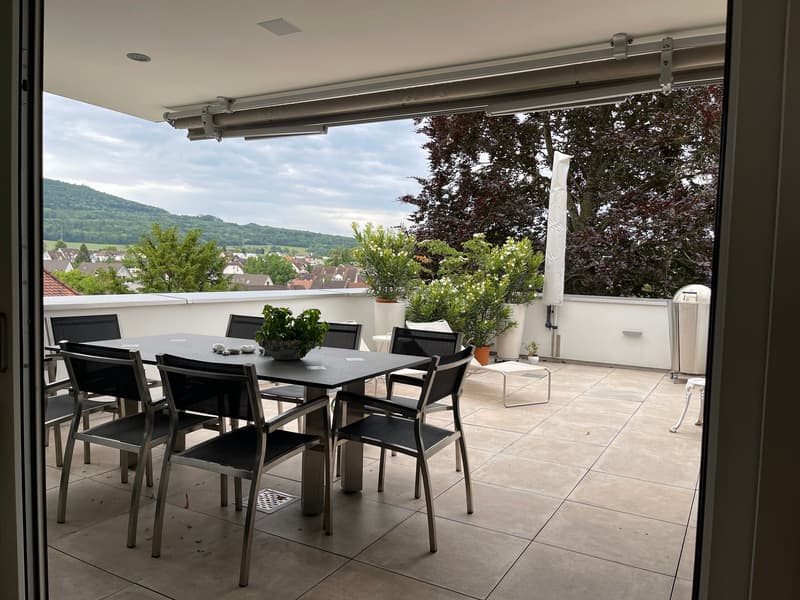 3 1/2 Maisonette Attikawohnung, grosse Sonnenterrassen mit Keller, 2 TG-Plätzen (2)