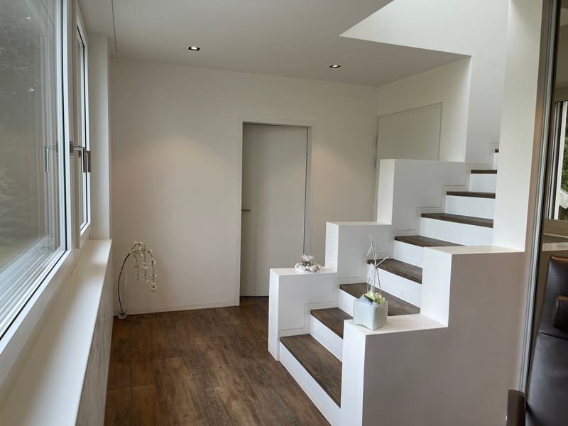 3 1/2 Maisonette Attikawohnung, grosse Sonnenterrassen mit Keller, 2 TG-Plätzen (20)