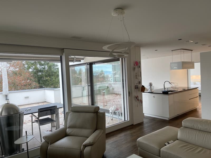 3 1/2 Maisonette Attikawohnung, grosse Sonnenterrassen mit Keller, 2 TG-Plätzen (13)