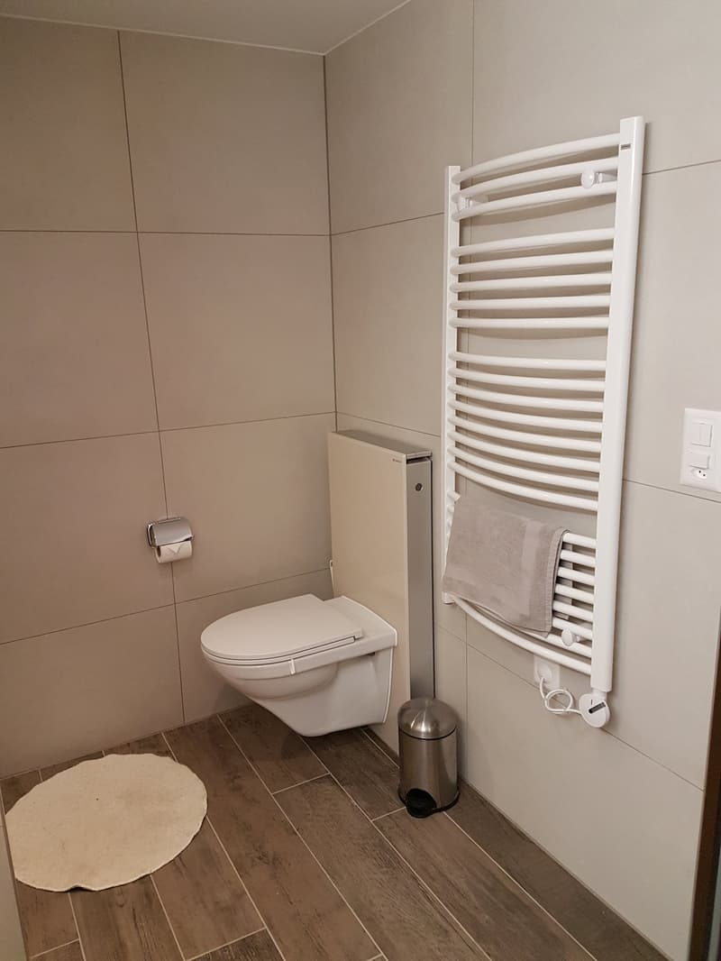 3 1/2 Zimmer Duplex Eigentumswohnung mit Galerie, Balkon und Cheminée (12)