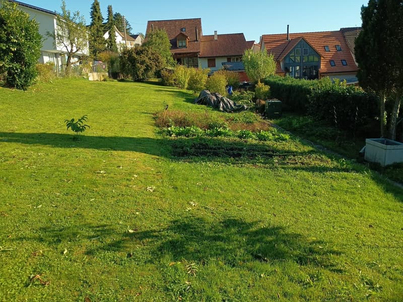 Zwei aneinandergebaute Liegenschaften mit 1539 m2 Grundstück in der Kern- und Landwirtschaftszone (1)