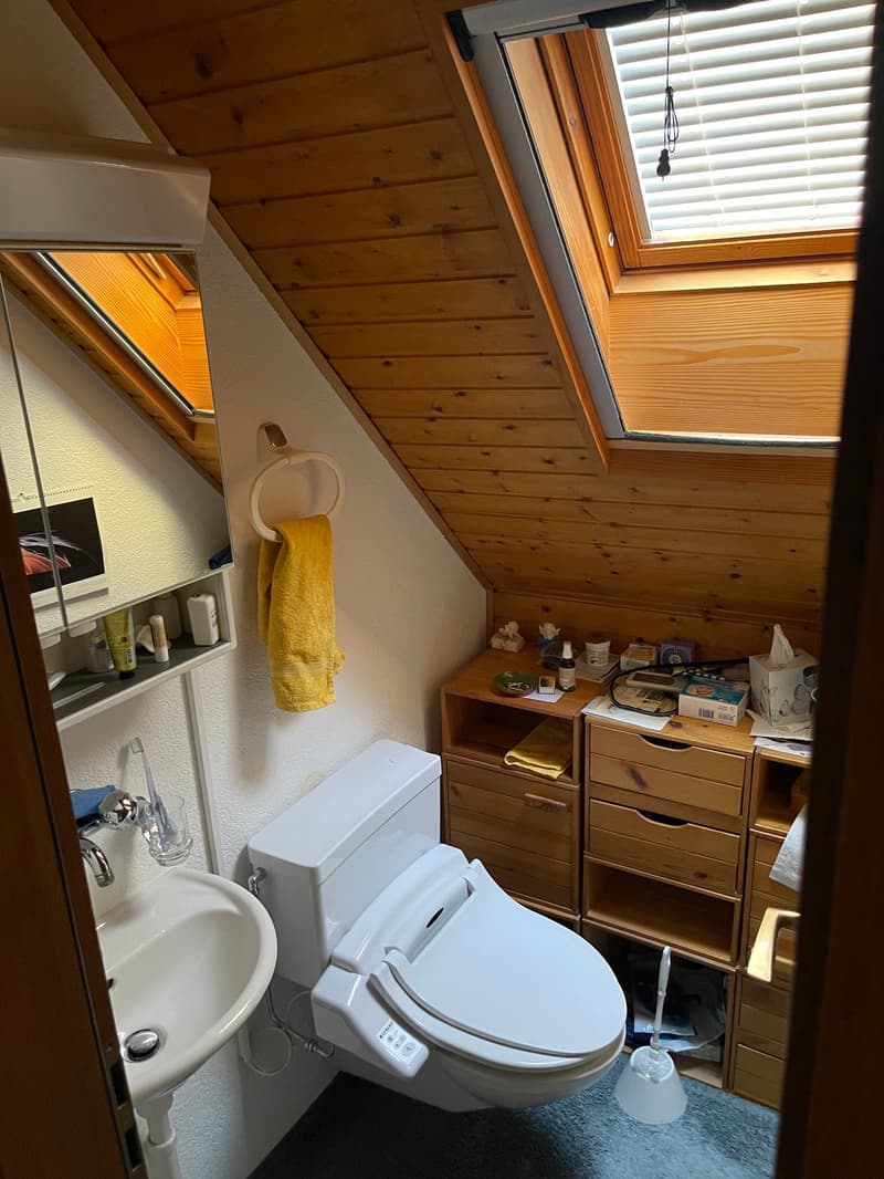 3 1/2 Zimmer Maisonette Dachwohnung 88 m2 mit 2 Balkonen und Studio 46 m2 (Option) (13)