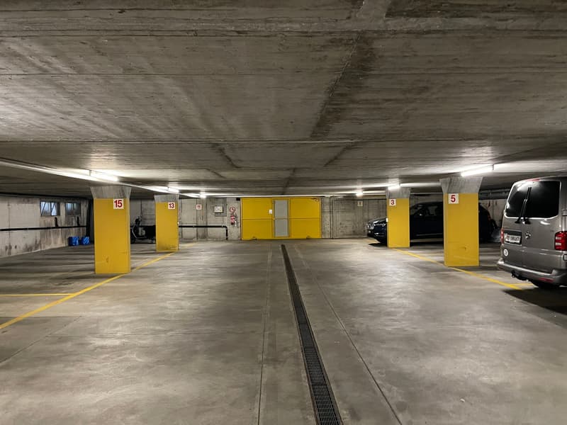 Sonnige 3.5-Zimmer-Eigentumswohnung mit Cheminée, Hobbyraum und viel Potenzial (27)