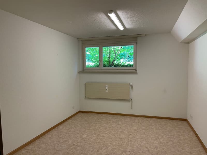 Sonnige 3.5-Zimmer-Eigentumswohnung mit Cheminée, Hobbyraum und viel Potenzial (25)