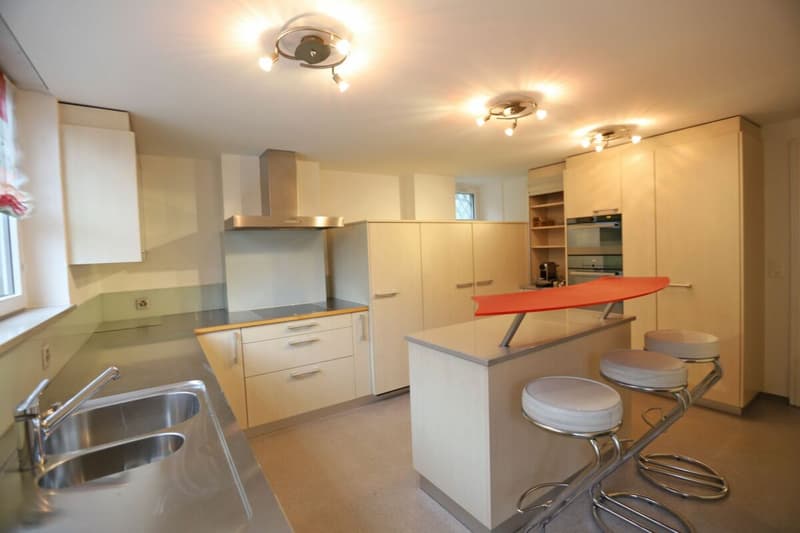 Herrschaftliches 10-Zimmer Wohnhaus mit Potential (3)