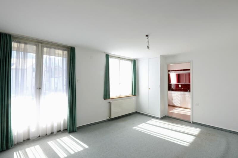 Herrschaftliches 10-Zimmer Wohnhaus mit Potential (8)