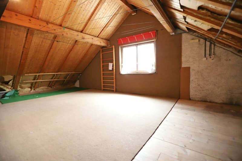 Herrschaftliches 10-Zimmer Wohnhaus mit Potential (10)
