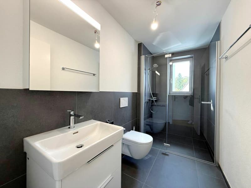Modern sanierte 3.5 Zimmer-Mietwohnungen mit Balkon (7)